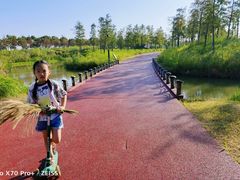 -春花秋色城市公园