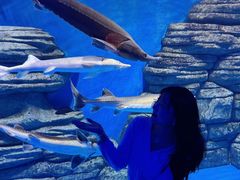 -石家庄极地海洋世界