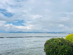 -大理洱海