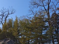-和园景逸大酒店朗月汤泉