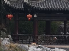-常熟方塔园