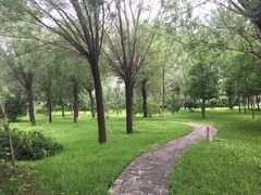 -中家鑫园温泉酒店鑫悦汤泉