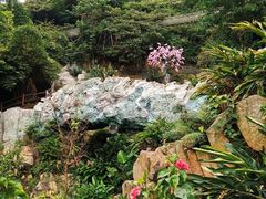 -南丹山森林王国