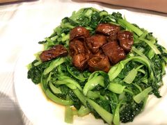 鸡毛菜圈子-翠亭酒家(山西南路店)