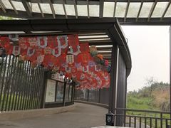 -飞天山旅游区