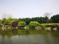-嘉定紫藤园