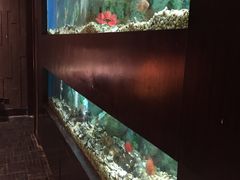 -红棉中餐厅·广州海航威斯汀酒店
