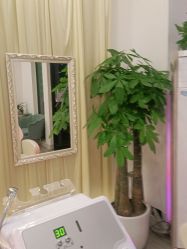 -妍理·植物养发