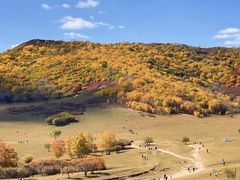 -塞罕坝国家级自然保护区