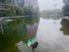 -西安曲江寒窑遗址公园