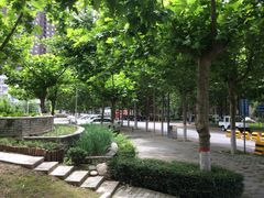 -西北大学(桃园校区)