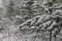 -南京金牛湖风景区