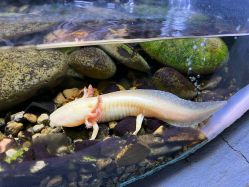 -Zoolung Zoolung动物主题公园(海信广场店)