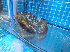 -晶渔坊·海鲜私房菜(东夷小镇店)