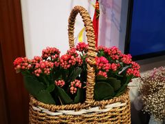 -双季花艺园艺市场(浦东店)