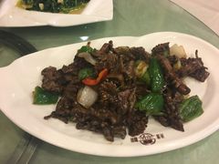 -丁老爷子苏香圆