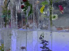 -宁波冰雪大世界(北仑区)