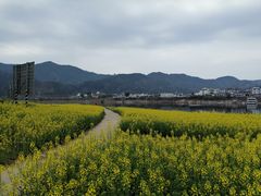 -新安江山水画廊风景区