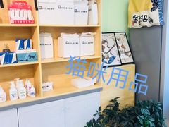 -猫十亿·布偶金渐层·曼基康矮脚猫舍(青年路店)