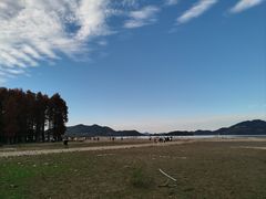 -四明湖