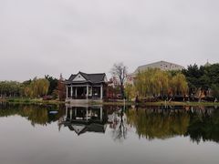 -映月湖公园
