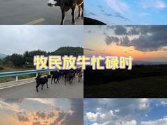 -乌蒙大草原