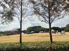 -嘉北郊野公园