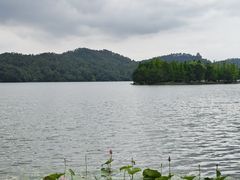 -东湖落雁景区