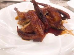 -新兴家喻酒家·羊城名宴(昌岗店)