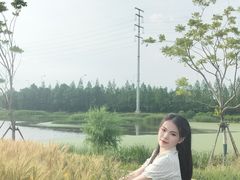 -杭州湾海上花田景区
