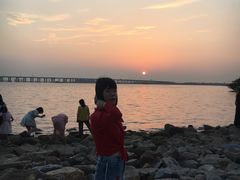 -宝安西湾红树林湿地公园