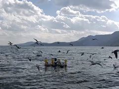 -滇池海埂公园