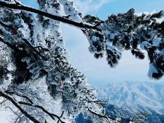 -老君山风景名胜区