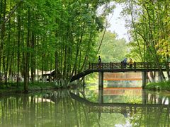 -桤木河湿地公园