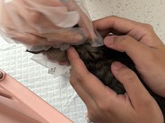 -御宝贝24h宠物医院·转诊中心·CT核磁血透中心(厦门总院)