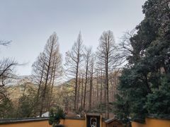 -九华山风景区