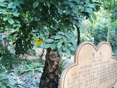 -呀路古热带植物园