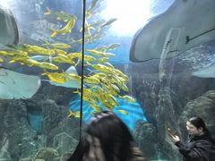 -福州罗源湾海洋世界旅游区