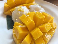 -Mango Tango