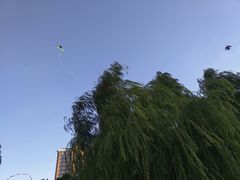 -新江湾城公园