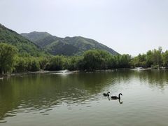 -西安秦岭野生动物园