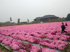 -中国天府农业博览园