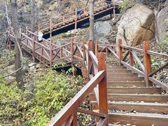 -大岭沟猕猴桃谷风景区