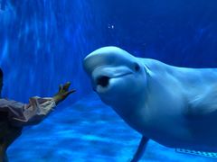 -多彩贵州城极地海洋世界