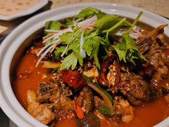 麻辣泉水鸡-先机泉水鸡汤(南山老君洞店)