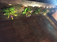 桂花楼-桂花楼淮扬中餐厅(浦东香格里拉店)