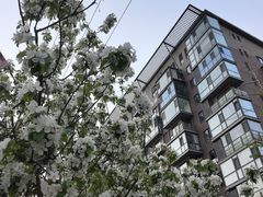 -OCT华侨城·北京