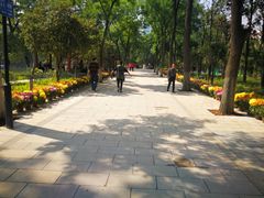 -莲湖公园