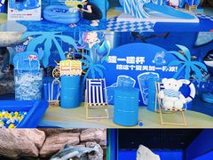 -海合安天津极地海洋公园