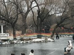 -北陵公园